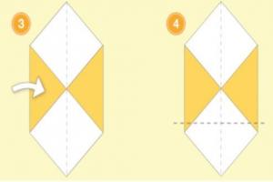 placeholder+image 2